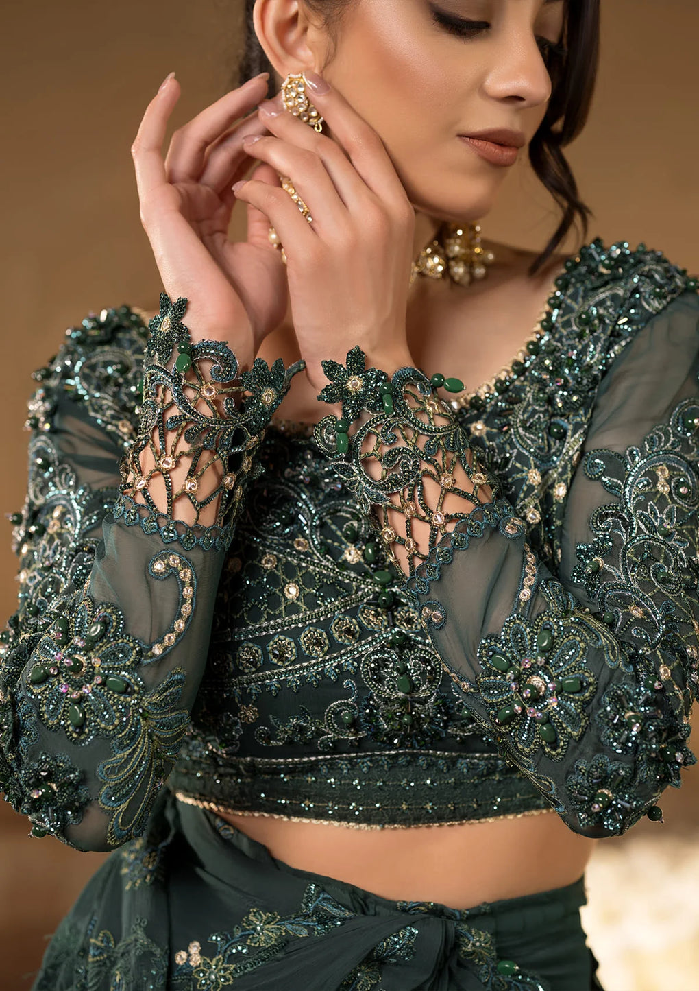 JAHAN ARA wears elegent Embroidered Organza Hand Embellished Sleeves